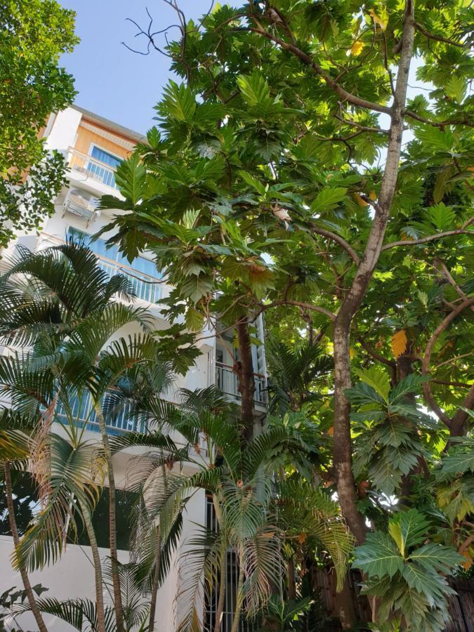 Albergue Breadfruit Chiang Mai Exterior foto